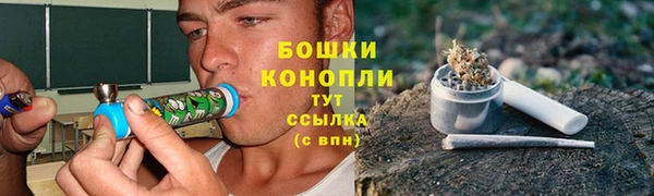 дурь Арсеньев