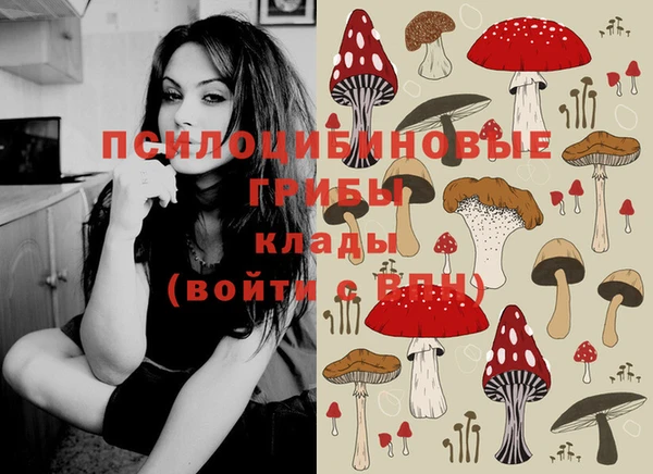 spice Аркадак