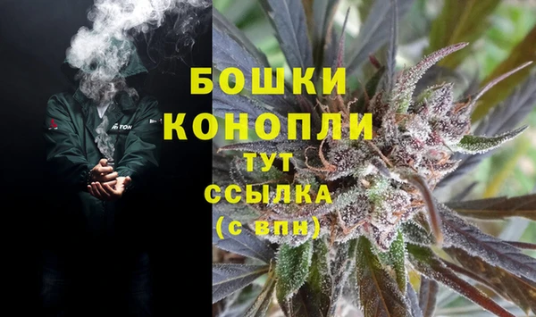 spice Аркадак