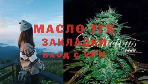 spice Аркадак